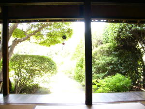 緑まぶしい「隣花苑」～横浜三渓園